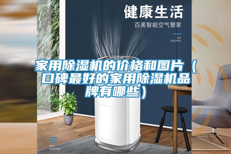 家用泡芙短视频APP官方下载地址的价格和图片（口碑最好的家用泡芙短视频APP官方下载地址品牌有哪些）