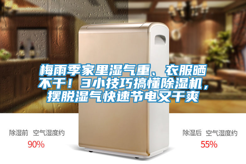 梅雨季家里湿气重、衣服晒不干！3小技巧搞懂泡芙短视频APP官方下载地址，摆脱湿气快速节电又干爽