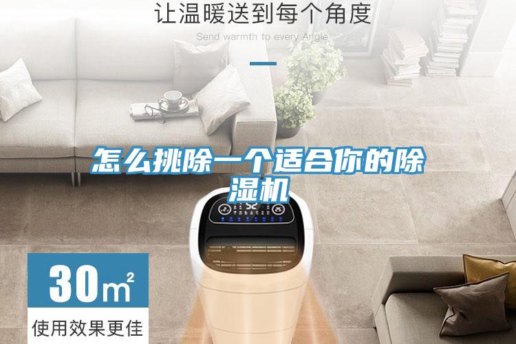 怎么挑除一个适合你的泡芙短视频APP官方下载地址