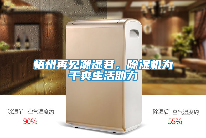 梧州再见潮湿君，泡芙短视频APP官方下载地址为干爽生活助力