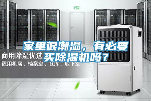 家里很潮湿，有必要买泡芙短视频APP官方下载地址吗？