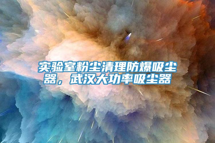 实验室粉尘清理防爆吸尘器，武汉大功率吸尘器