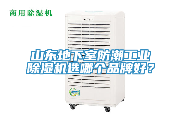 山东地下室防潮工业泡芙短视频APP官方下载地址选哪个品牌好？