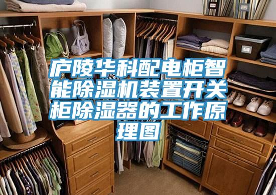 庐陵华科配电柜智能泡芙短视频APP官方下载地址装置开关柜除湿器的工作原理图