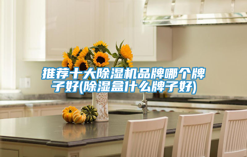 推荐十大泡芙短视频APP官方下载地址品牌哪个牌子好(除湿盒什么牌子好)