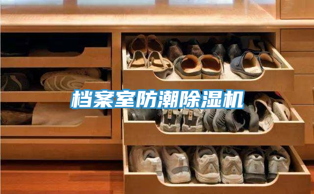 档案室防潮泡芙短视频APP官方下载地址