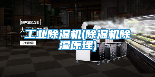 工业泡芙短视频APP官方下载地址(泡芙短视频APP官方下载地址除湿原理)