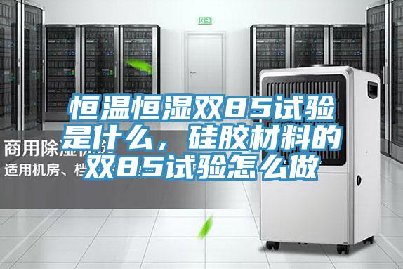 恒温恒湿双85试验是什么，硅胶材料的双85试验怎么做