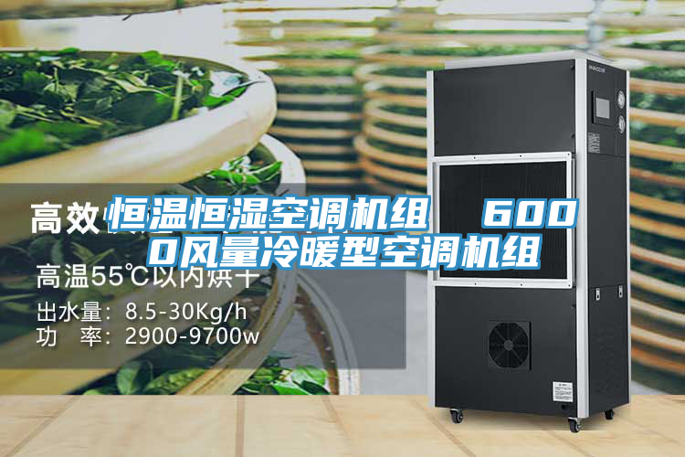 恒温恒湿空调机组 6000风量冷暖型空调机组