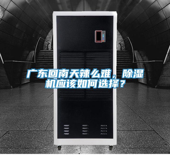 广东回南天辣么难，泡芙短视频APP官方下载地址应该如何选择？