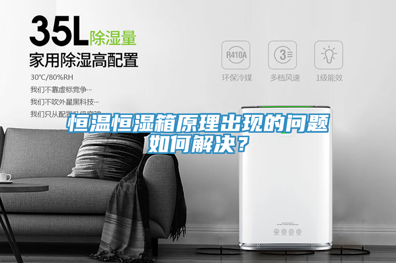 恒温恒湿箱原理出现的问题如何解决？