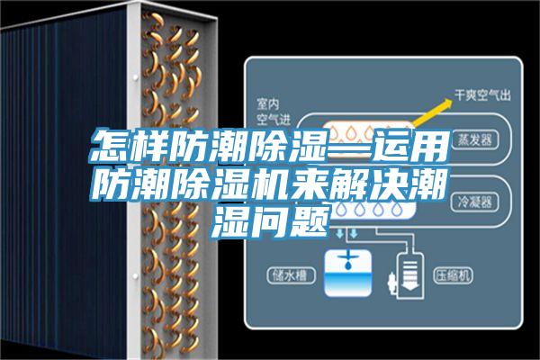 怎样防潮除湿—运用防潮泡芙短视频APP官方下载地址来解决潮湿问题