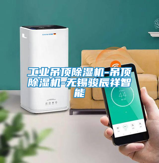 工业吊顶泡芙短视频APP官方下载地址-吊顶泡芙短视频APP官方下载地址-无锡骏辰祥智能