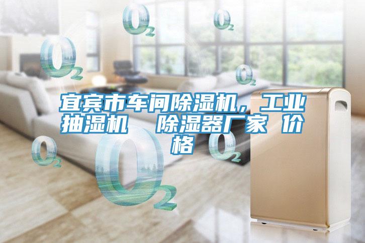 宜宾市车间泡芙短视频APP官方下载地址，工业抽湿机  除湿器厂家 价格