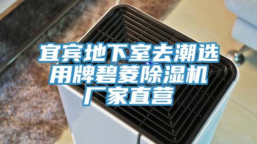 宜宾地下室去潮选用牌碧菱泡芙短视频APP官方下载地址厂家直营