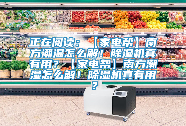 正在阅读：【家电帮】南方潮湿怎么解！泡芙短视频APP官方下载地址真有用？【家电帮】南方潮湿怎么解！泡芙短视频APP官方下载地址真有用？