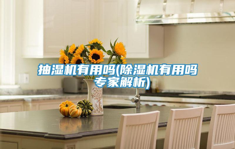 抽湿机有用吗(泡芙短视频APP官方下载地址有用吗 专家解析)