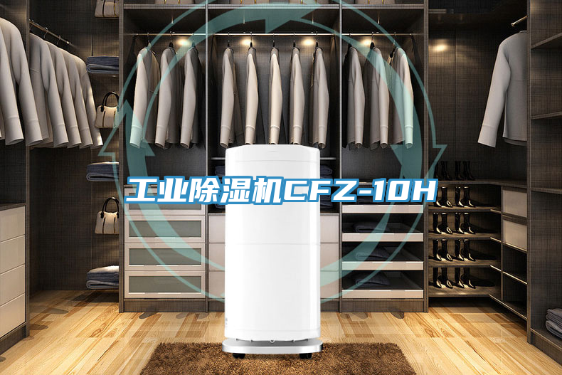 工业泡芙短视频APP官方下载地址CFZ-10H