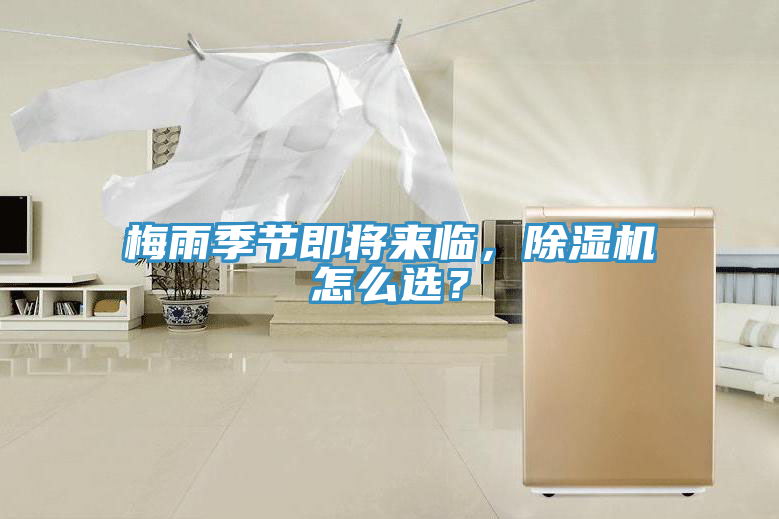 梅雨季节即将来临，泡芙短视频APP官方下载地址怎么选？