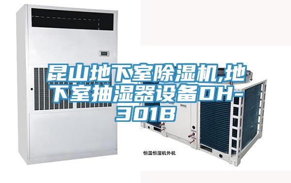 昆山地下室泡芙短视频APP官方下载地址,地下室抽湿器设备DH-301B