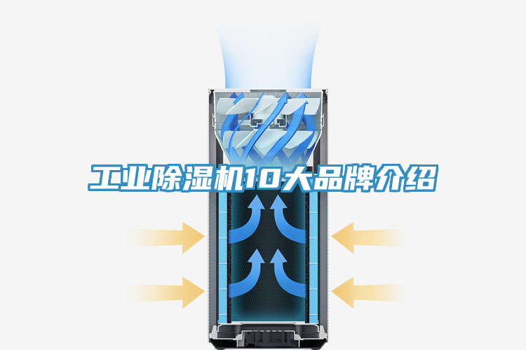 工业泡芙短视频APP官方下载地址10大品牌介绍