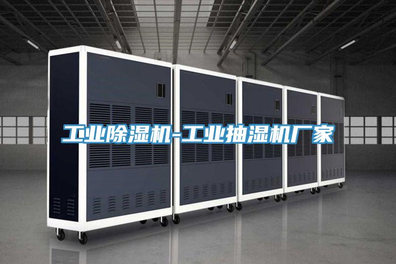 工业泡芙短视频APP官方下载地址-工业抽湿机厂家
