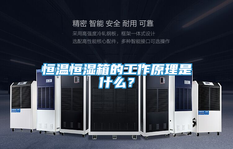 恒温恒湿箱的工作原理是什么？