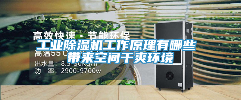 工业泡芙短视频APP官方下载地址工作原理有哪些 带来空间干爽环境