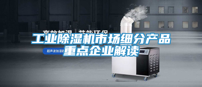 工业泡芙短视频APP官方下载地址市场细分产品重点企业解读