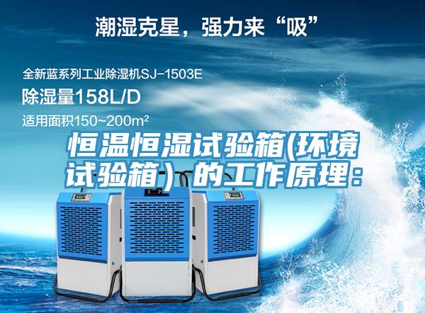 恒温恒湿试验箱(环境试验箱）的工作原理：