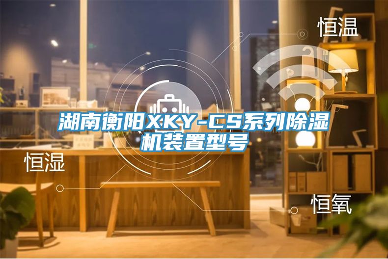 湖南衡阳XKY-CS系列泡芙短视频APP官方下载地址装置型号