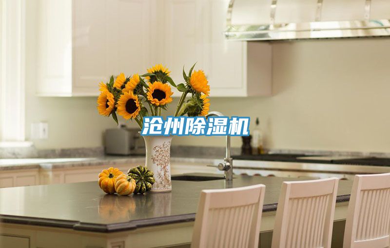 沧州泡芙短视频APP官方下载地址