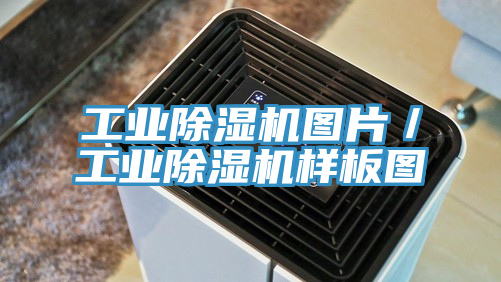 工业泡芙短视频APP官方下载地址图片／工业泡芙短视频APP官方下载地址样板图