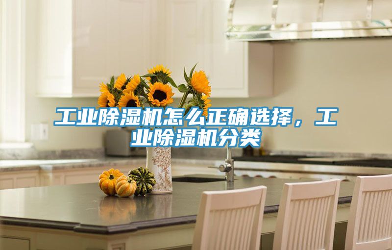 工业泡芙短视频APP官方下载地址怎么正确选择，工业泡芙短视频APP官方下载地址分类