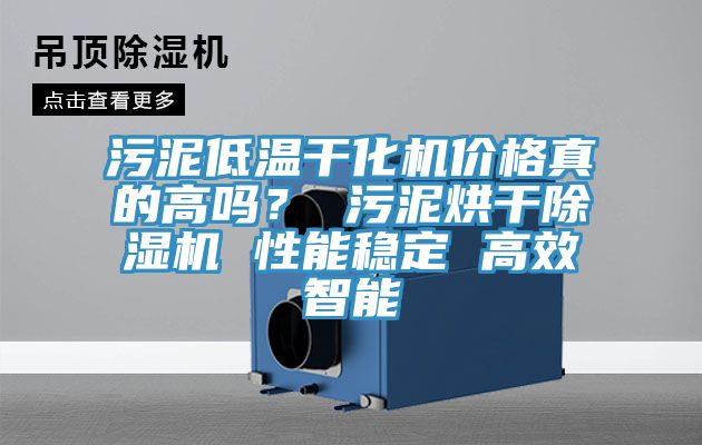 污泥低温干化机价格真的高吗？ 污泥烘干泡芙短视频APP官方下载地址 性能稳定 高效智能