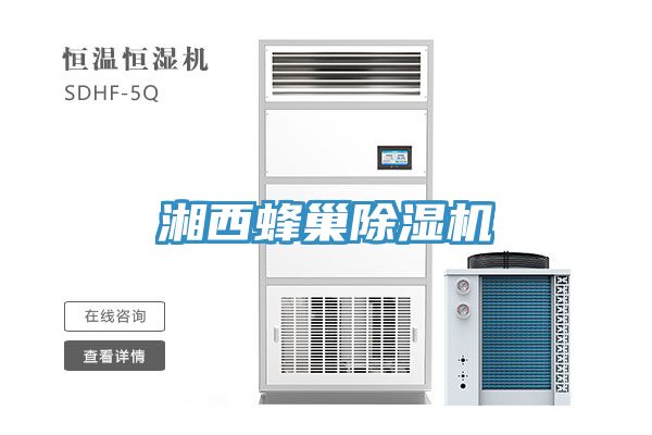 湘西蜂巢泡芙短视频APP官方下载地址