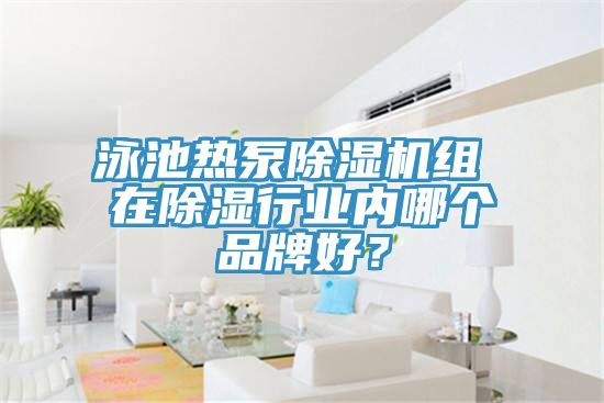 泳池热泵泡芙短视频APP官方下载地址组 在除湿行业内哪个品牌好？