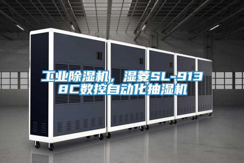 工业泡芙短视频APP官方下载地址，湿菱SL-9138C数控自动化抽湿机