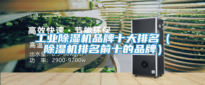 工业泡芙短视频APP官方下载地址品牌十大排名（泡芙短视频APP官方下载地址排名前十的品牌）