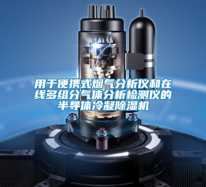 用于便携式烟气分析仪和在线多组分气体分析检测仪的半导体冷凝泡芙短视频APP官方下载地址