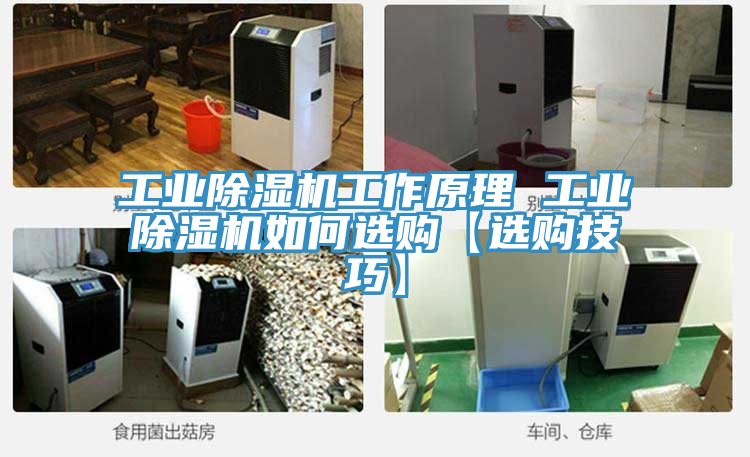 工业泡芙短视频APP官方下载地址工作原理 工业泡芙短视频APP官方下载地址如何选购【选购技巧】