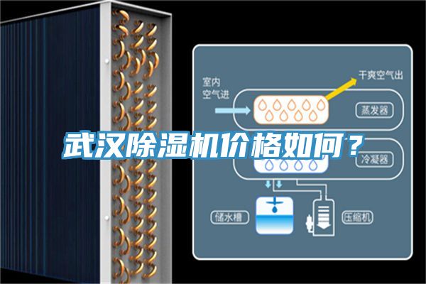 武汉泡芙短视频APP官方下载地址价格如何？