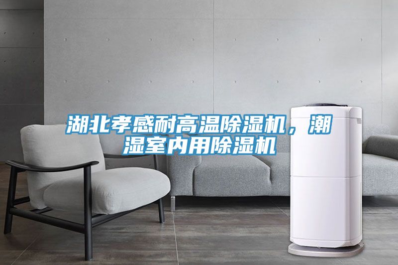 湖北孝感耐高温泡芙短视频APP官方下载地址，潮湿室内用泡芙短视频APP官方下载地址