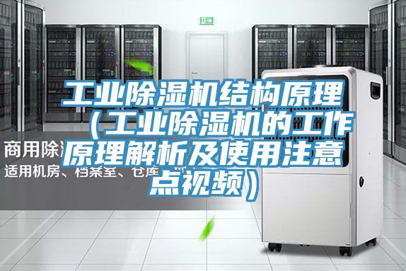 工业泡芙短视频APP官方下载地址结构原理（工业泡芙短视频APP官方下载地址的工作原理解析及使用注意点视频）