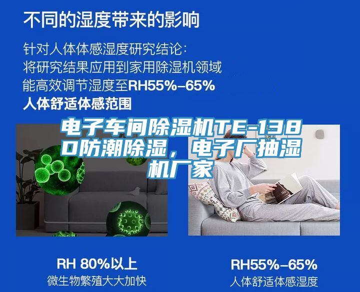 电子车间泡芙短视频APP官方下载地址TE-138D防潮除湿，电子厂抽湿机厂家