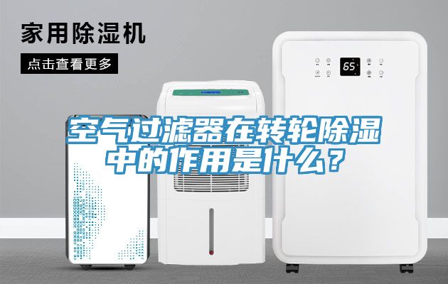 空气过滤器在转轮除湿中的作用是什么？