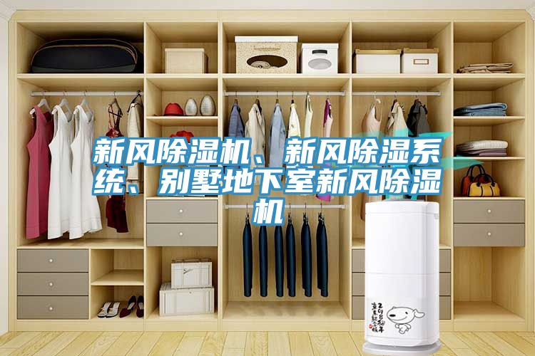 新风泡芙短视频APP官方下载地址、新风除湿系统、别墅地下室新风泡芙短视频APP官方下载地址