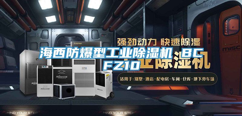 海西防爆型工业泡芙短视频APP官方下载地址 BCFZ10