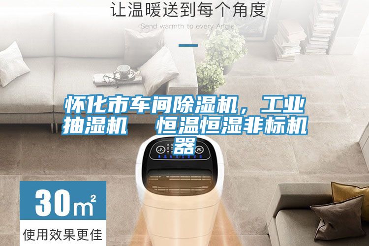 怀化市车间泡芙短视频APP官方下载地址，工业抽湿机  恒温恒湿非标机器