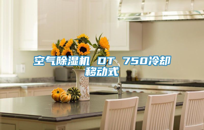 空气泡芙短视频APP官方下载地址 DT 750冷却移动式